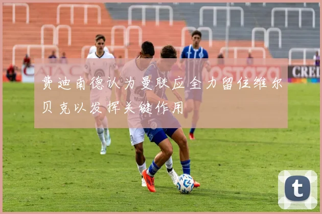 费迪南德认为曼联应全力留住维尔贝克以发挥关键作用